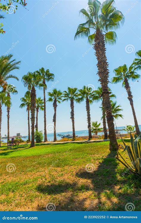 Antalya Turkey Beautiful Park With Palm Trees And Which Leads To Lara