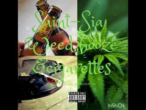 Weed Booze Cigarettes Official Audio YouTube