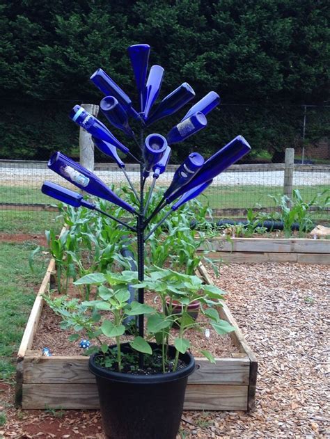 I Have Wanted A Blue Wine Bottle Tree For Some Time My Hubby Got A