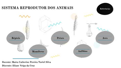 Sistema Reprodutor By Eliane Veiga Da Cruz On Prezi