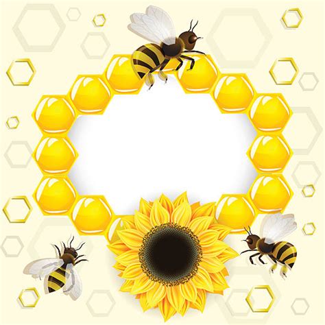 Background Of The Bee Sunflower Illustrations Royalty Free Vector