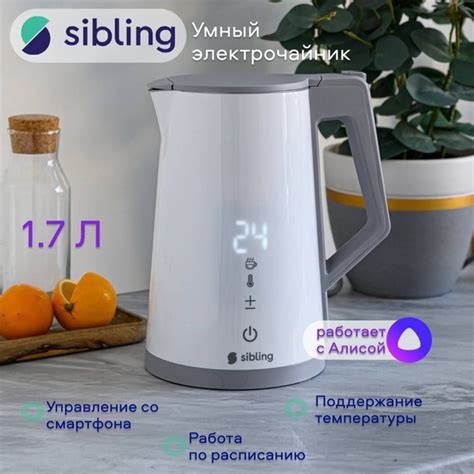 Купить электрический чайник Sibling Powerspace-SK, Металл/пластик по ...
