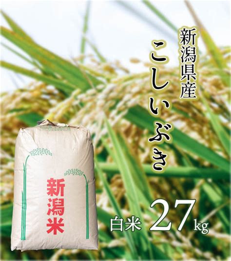 【r5年産】新潟県産 こしいぶき 白米 27kg 株式会社米福