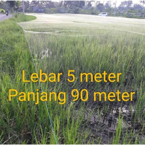 Jual Jaring Burung Sawah 5mx100yds Jaring Padi Jaring Burung Pipit