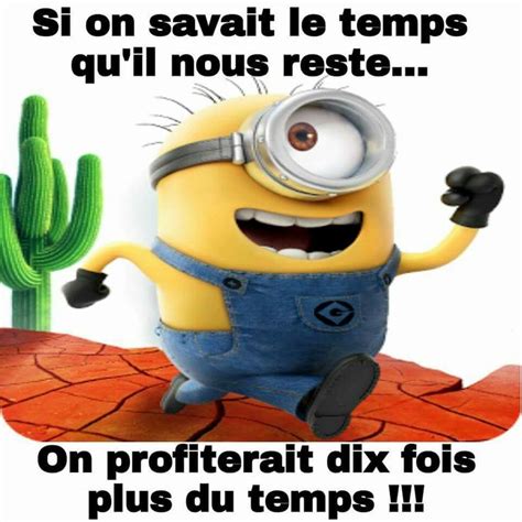 Pingl Par Margaux Sur Minion Image Humour Blague Minion Humour