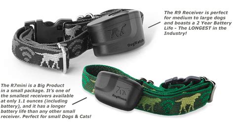 Are Underground Dog Fence Collars Interchangeable