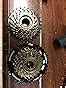Amazon.com : Shimano MF-TZ31 Tourney Freewheel (14-34T Mega 7 Speed ...