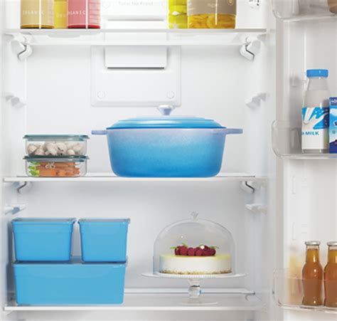 Холодильник Indesit ITS 4200 W купить, цены в интернет-магазине Индезит