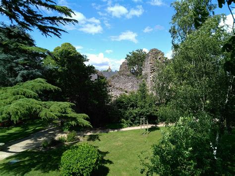 Fresnay Sur Sarthe Ruines De L Ancien Ch Teau Carte Postale