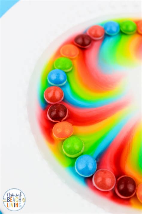 Skittles Rainbow Experiment - Science Activities for Kids - Natural ...