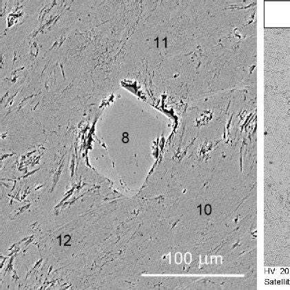 A Sem Pho To Mi Cro Graph Thin Sec Tion Of Idioblastic Tremolite