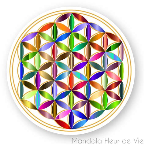 Stickers Fleur De Vie Arc En Ciel Or Stickers Fleurs Solide De