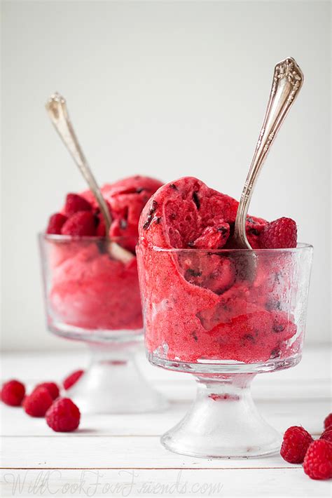 Raspberry Chocolate Chunk Sorbet Raspberry Picking Will Cook For