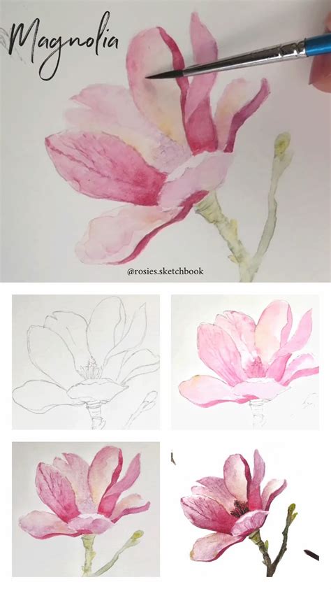 Watercolor Painting Techniques Watercolor Flowers Paintings