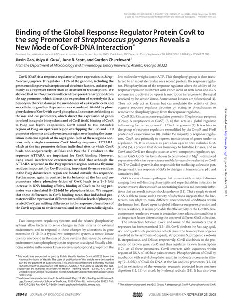 Pdf Binding Of The Global Response Regulator Protein Covr To The Sag