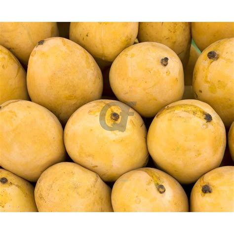 Mango Pakistani Medium | Pakistani Mangoes Uk