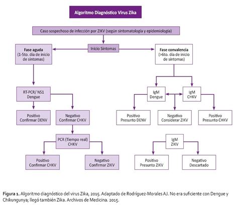 Virus Zika En Centroam Rica Y Sus Complicaciones