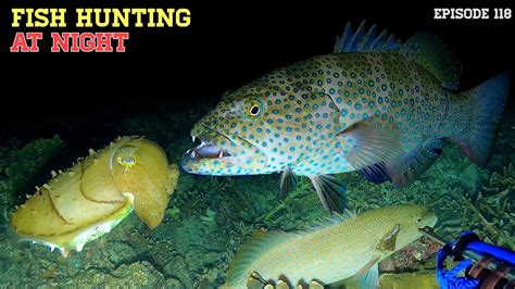 Night Spearfishing Episode Fish Hunting At Night Dolan Laut Youtube