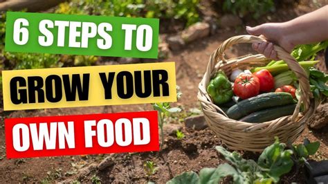 6 Easy Steps To Start Growing Your Own Food Youtube