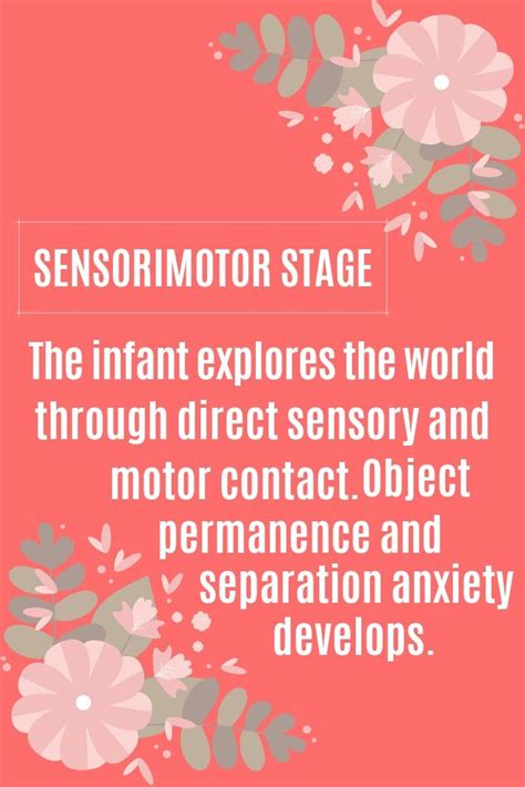 Piagets Stages Of Development Sensorimotor