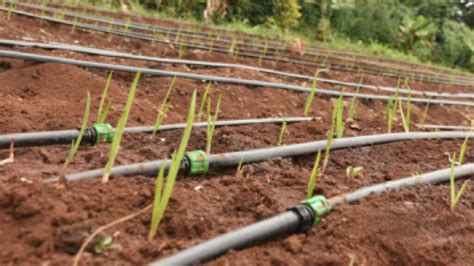 Drip Lines For Sale In Kenya By Grekkon Ltd 254 777 157 132