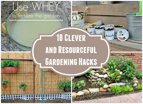 18 Clever And Resourceful Gardening Hacks DIY Inspired