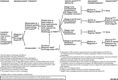 Wilms Tumor Nephroblastoma Version 2 2021 NCCN Clinical Practice