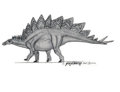 Stegosaurus By Yankeetrex On Deviantart