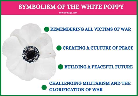 White Poppy – Symbolism and Meaning - Symbol Sage