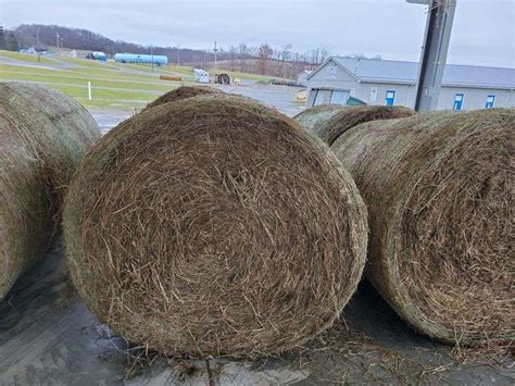 2 Round Bales 2nd Timothy Orchard Grass Mix 4x4 Stored Inside