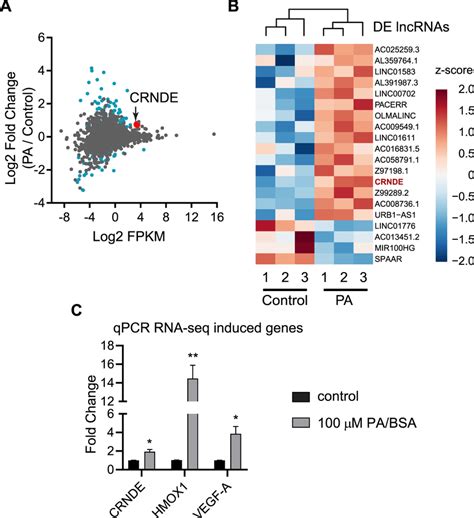 Differentially Expressed Lncrnas A Expression Plot Of Identified