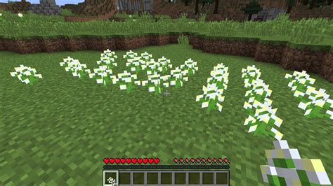 What Are Azure Bluets Minecraft Flowers Youtube