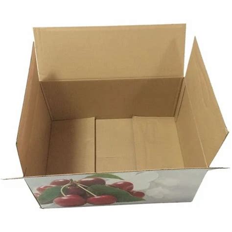 5 Ply Printed Corrugated Box At Rs 35 Piece 5 Ply Box In New Delhi