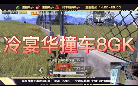 【和平精英】冷宴华撞车8gk双视角（前八妹后小华）哔哩哔哩bilibili