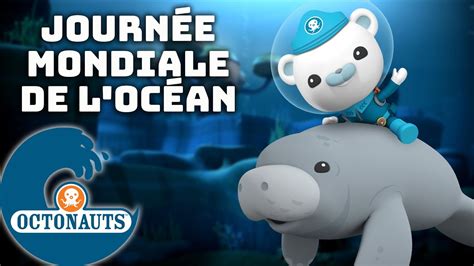 Octonauts Journée Mondiale De L Océan Dessins Animés Pour Enfants Youtube