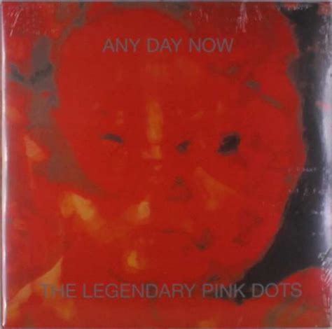 The Legendary Pink Dots Any Day Now Expanded Edition 2 Lps Jpc