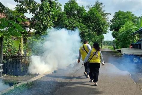 Maraknya Kasus Demam Berdarah Dinkes Situbondo Semakin Gencar Lakukan