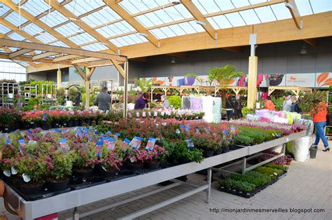 Mon Jardin Mes Merveilles Ouverture De Famiflora 25 Des Annuelles