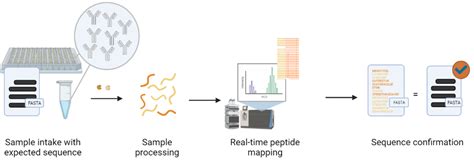 Rapid Novor Antibody Sequencing Services Lubioscience