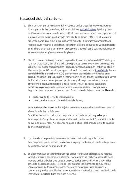 DOCX Etapas Del Ciclo De Carbono DOKUMEN TIPS