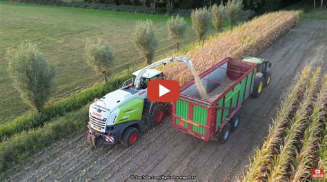 Mais Hakselen In Scherpenzeel Met Een Claas Jaguar Van