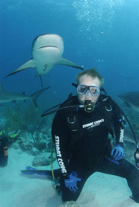 Shark diving in the Bahamas