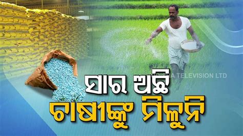 Fertilizer Shortage Hits Farmers Hard In Odisha Special Story Video