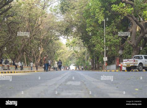 View Of Shivaji Park Road With Green Trees In Mumbai Maharashtra Stock