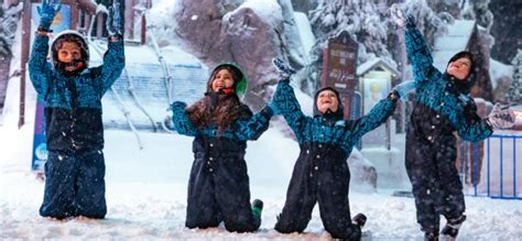 Kids Summer Camp Ski Dubai Tickikids Dubai