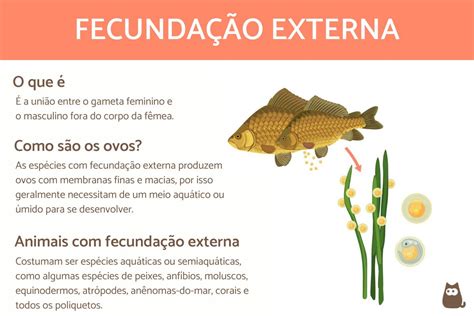 O Que É Fecundação Externa - Animais Com Fecundação Externa - Como ocorre + 20 exemplos