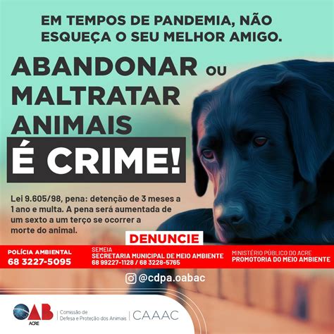 Frases Em Defesa Dos Animais