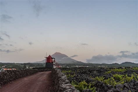 Mesmerizing View Of A Windmill In The Vineyards In Pico Island Azores