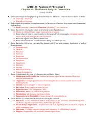 Chapter Study Guide Docx Aphy Anatomy Physiology I Chapter