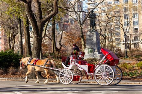 Horse Drawn Carriage Rides Through Central Park New York